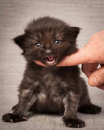 20130117_T-kull_3_weeks_0098