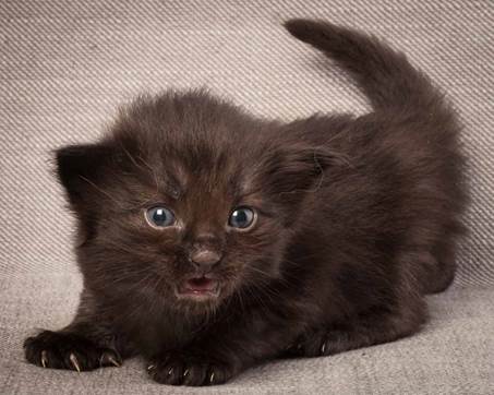 20130117_T-kull_3_weeks_0105