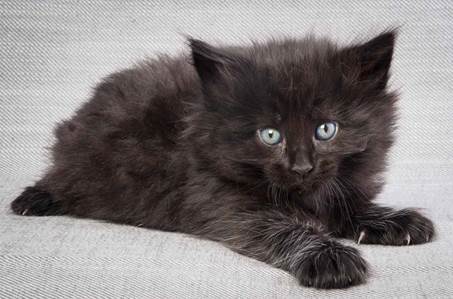 20130201_T-kull_5_weeks_0008