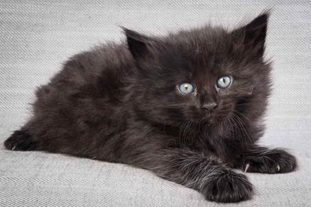 20130201_T-kull_5_weeks_0009