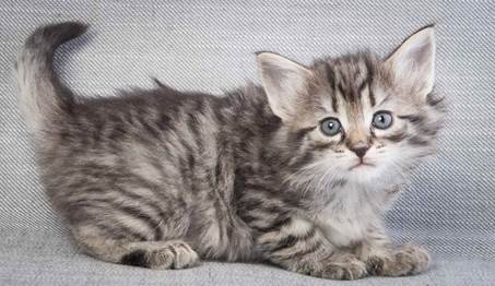 20130201_T-kull_5_weeks_0037