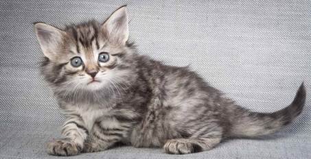 20130201_T-kull_5_weeks_0040