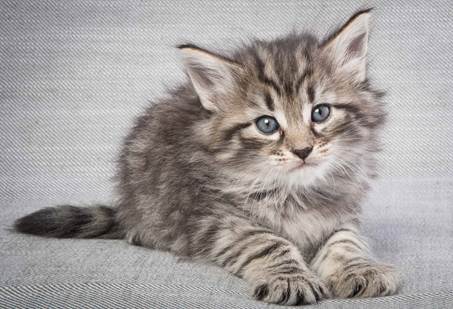 20130201_T-kull_5_weeks_0048