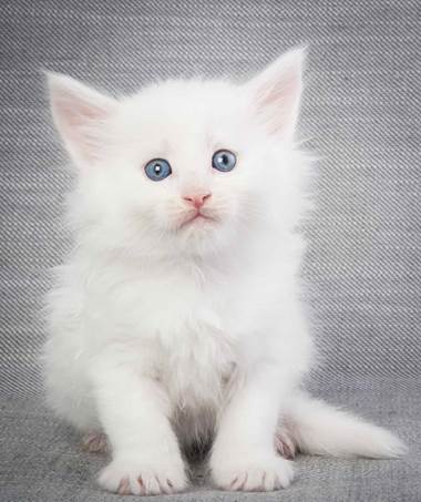 20130201_T-kull_5_weeks_0076