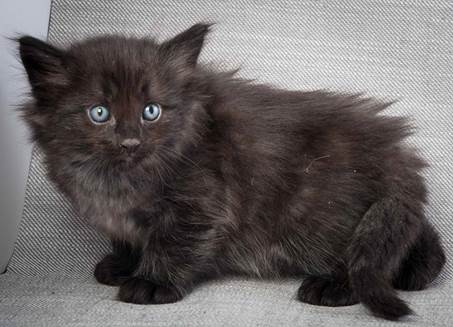 20130201_T-kull_5_weeks_0080