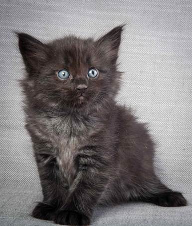 20130201_T-kull_5_weeks_0079