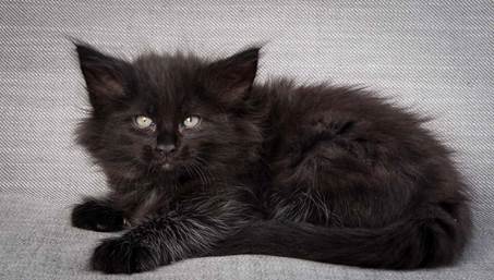 20130214_T-kull_7_weeks_0007