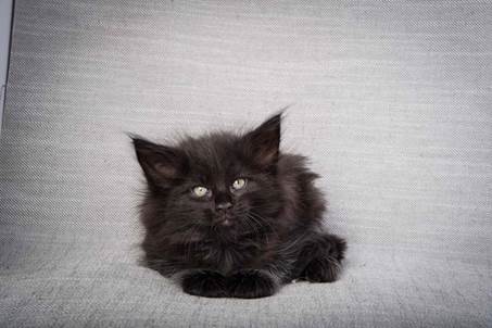 20130214_T-kull_7_weeks_0004