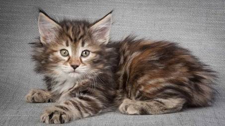 20130214_T-kull_7_weeks_0020