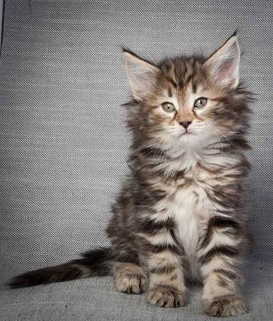 20130214_T-kull_7_weeks_0018