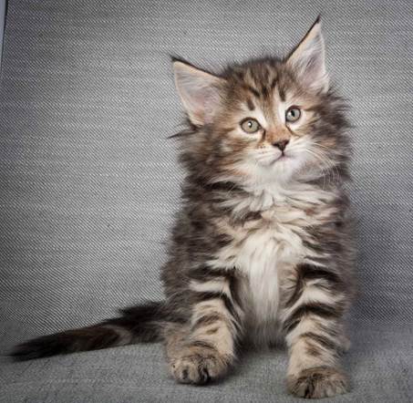 20130214_T-kull_7_weeks_0016