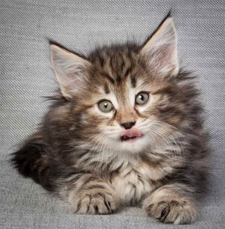 20130214_T-kull_7_weeks_0022