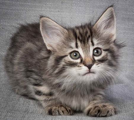 20130214_T-kull_7_weeks_0043