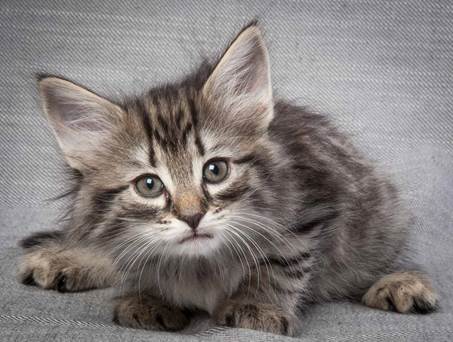 20130214_T-kull_7_weeks_0041