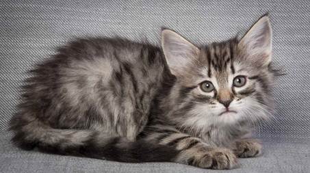 20130214_T-kull_7_weeks_0038