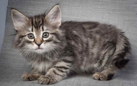 20130214_T-kull_7_weeks_0044