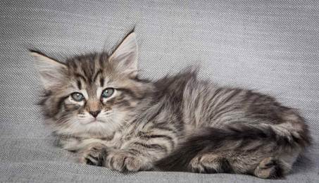 20130214_T-kull_7_weeks_0052