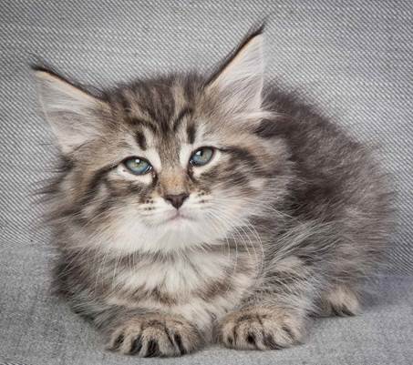 20130214_T-kull_7_weeks_0047