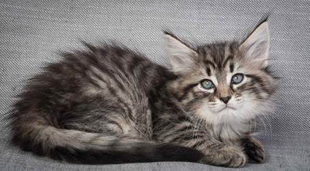 20130214_T-kull_7_weeks_0056