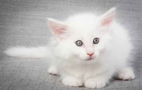 20130214_T-kull_7_weeks_0067