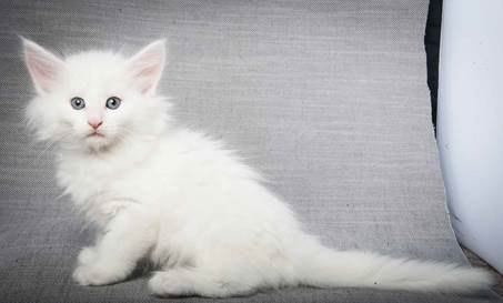 20130214_T-kull_7_weeks_0074