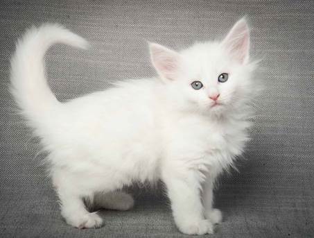 20130214_T-kull_7_weeks_0084