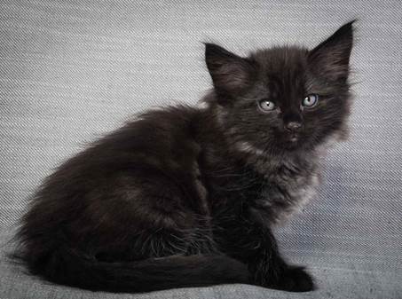 20130214_T-kull_7_weeks_0089