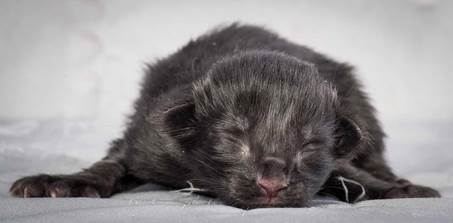 20121228_T-kull_newborn_0001