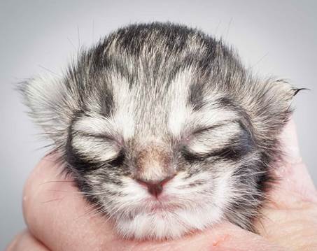 20121228_T-kull_newborn_0033