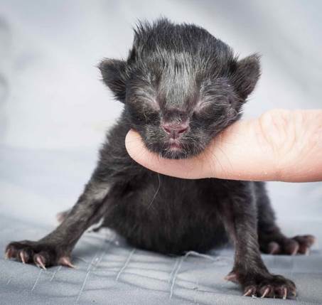 20121228_T-kull_newborn_0060