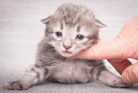 20130425_V-kull_10_days_0518