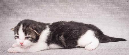 20130425_V-kull_10_days_0542