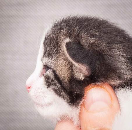 20130425_V-kull_10_days_0540