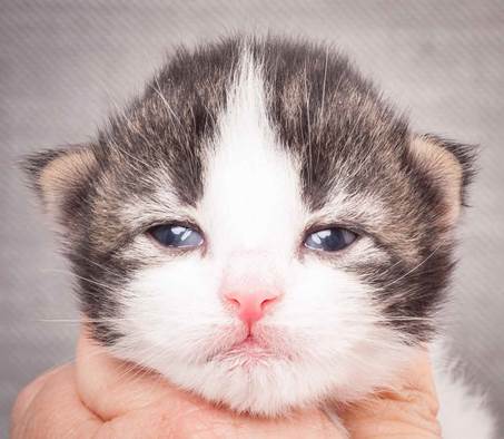 20130425_V-kull_10_days_0539