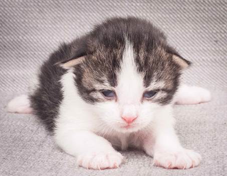 20130425_V-kull_10_days_0534