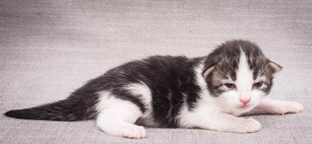 20130425_V-kull_10_days_0545