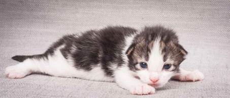 20130425_V-kull_10_days_0570