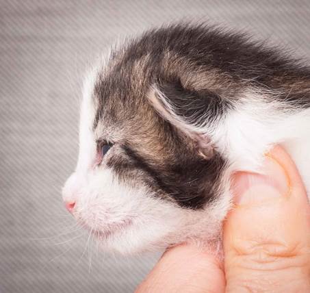 20130425_V-kull_10_days_0562