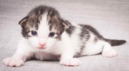 20130425_V-kull_10_days_0572