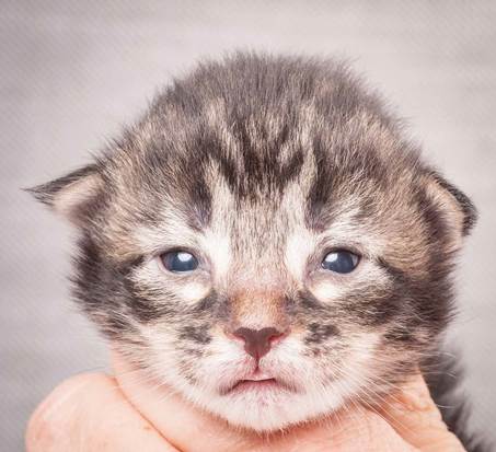 20130425_V-kull_10_days_0583