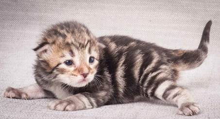 20130425_V-kull_10_days_0614