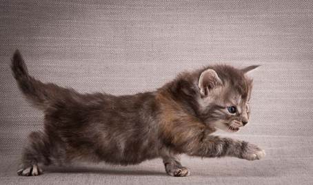 20140209_W-kull_27_days_0011