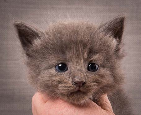 20140209_W-kull_27_days_0043