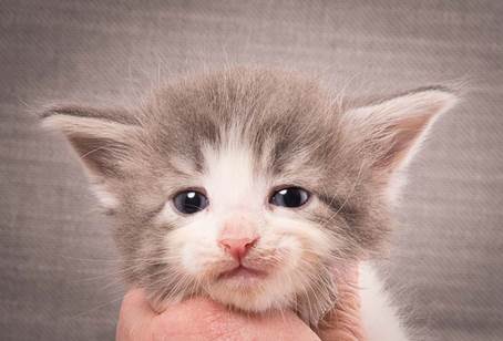 20140209_W-kull_27_days_0056