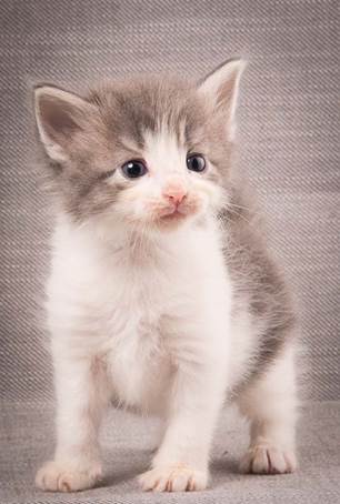 20140209_W-kull_27_days_0049