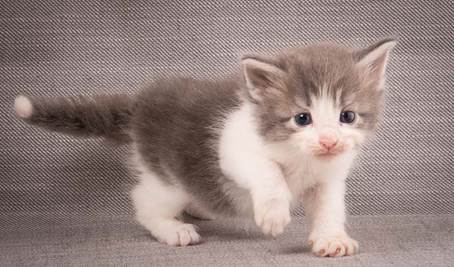 20140209_W-kull_27_days_0047