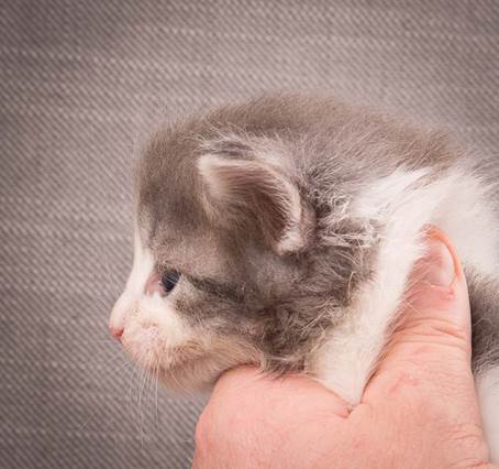 20140209_W-kull_27_days_0059