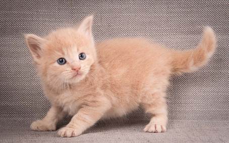 20140209_W-kull_27_days_0065