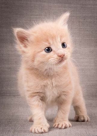 20140209_W-kull_27_days_0064