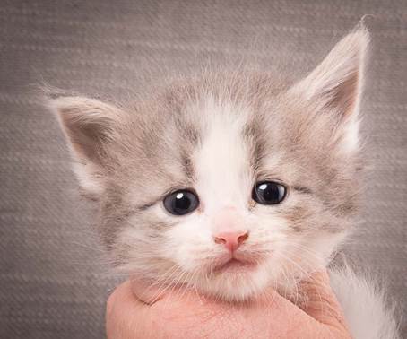 20140209_W-kull_27_days_0081